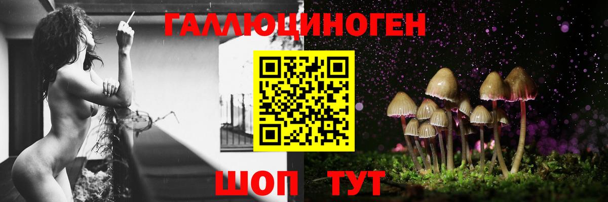 Псилоцибиновые грибы ЛСД Тула