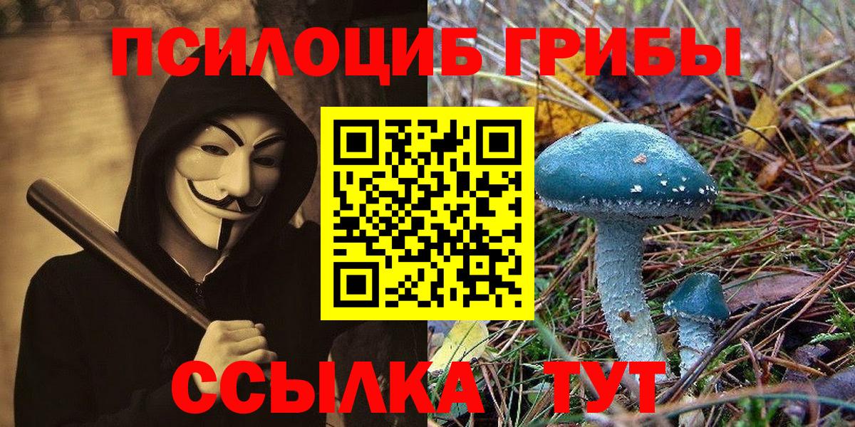 Тула  Псилоцибиновые грибы Cubensis  Вход с VPN 